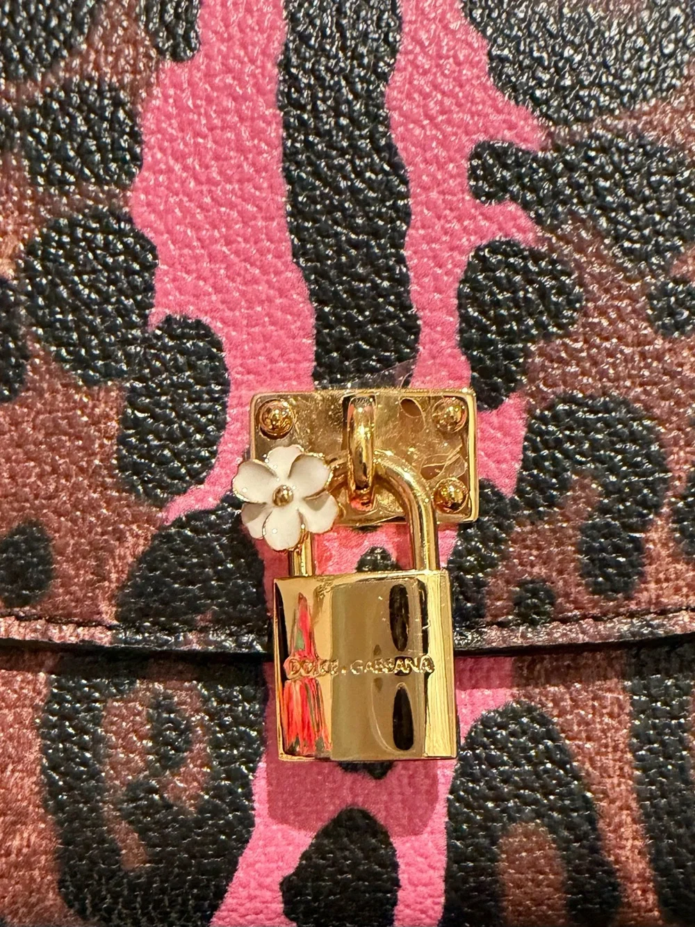 Dolce & Gabbana Brown Leopard Print & Pink Accent Key/Card Holder
